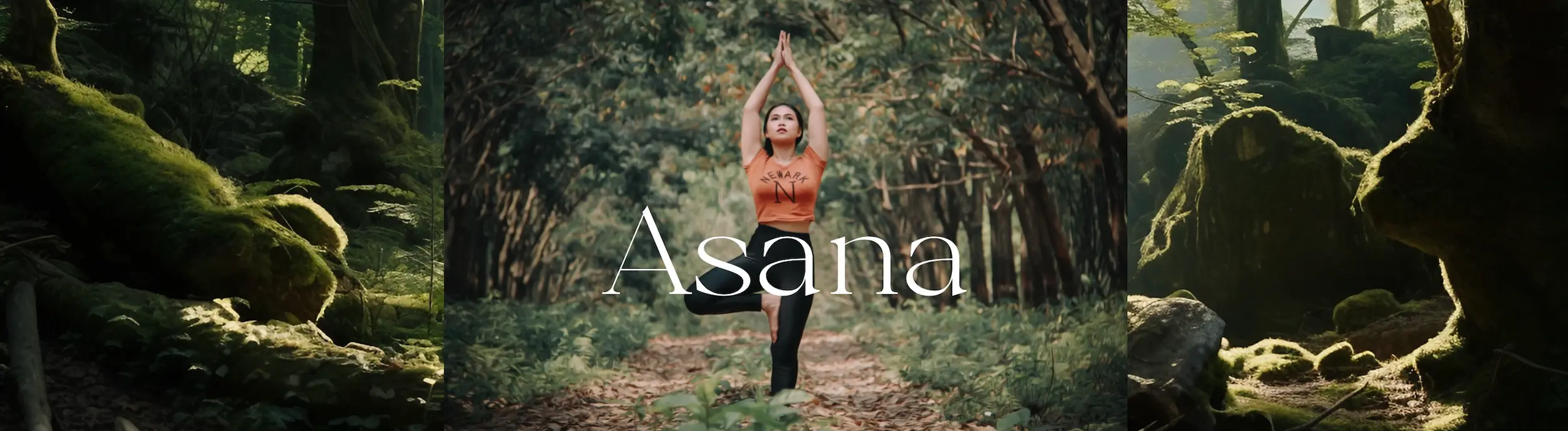 asana-accueil