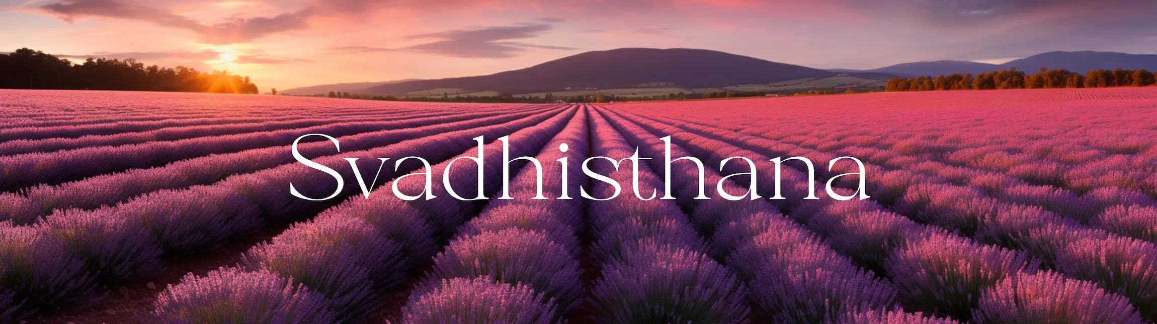 svadhisthana-chakra-accueil