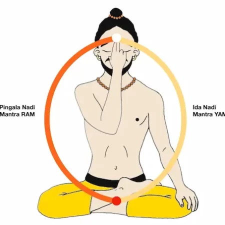 nadi-shodhana-visualisation
